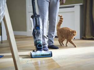 Limpadores que aceitam animais de estimação